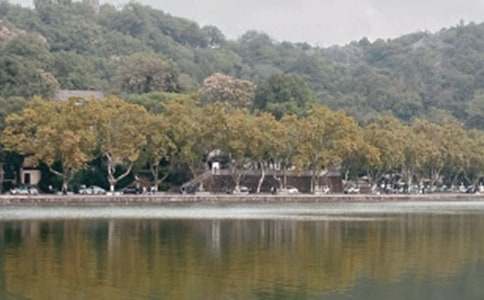 �����������c�����~