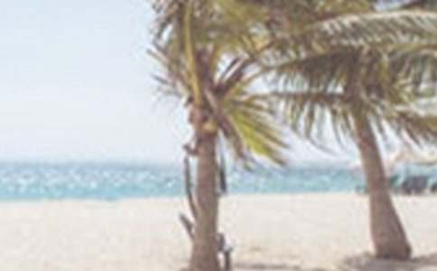 �ļ����N��ӷ���(���\13ƪ)