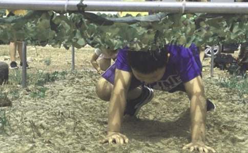 �����A������I(y��ng)�����gӭ�~