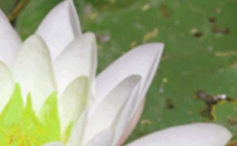 ������Ӳ߄�������ͨ��5ƪ��