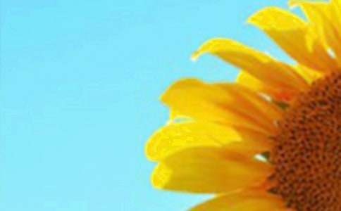 (��(j��ng)��)���տ��Ļ��Z