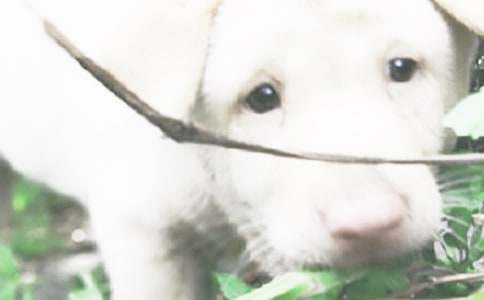 С���W(xu��)���m(x��)�����ġ����]��