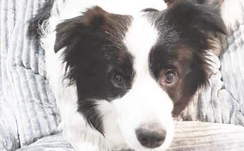 ��С���W(xu��)�С��m(x��)�����ģ�ͨ��34ƪ��