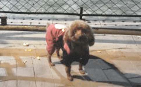 �����]��С���W(xu��)���m(x��)������