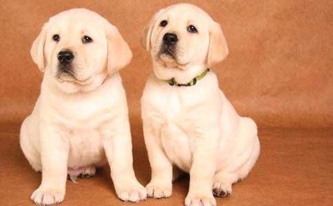 С�������С�W(xu��)����