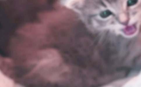 С؈��������_��(xi��)��(d��ng)�������