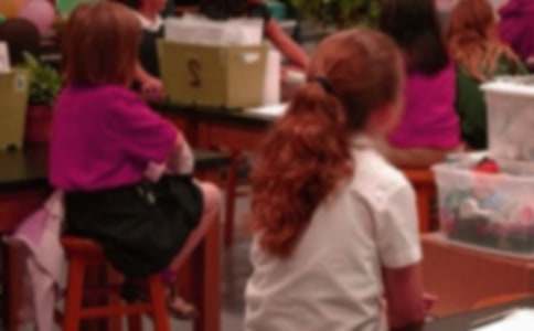 (����)С�W(xu��)���h(hu��n)����(bi��o)�Z15ƪ