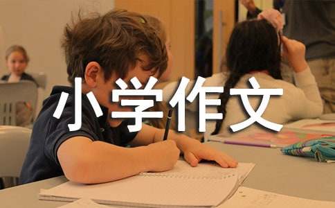 ���ZС�W(xu��)����