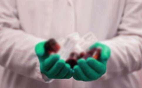 ˎ�������������