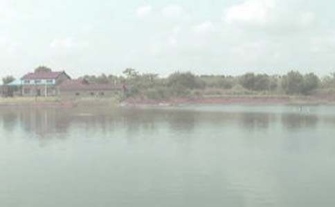 �~(y��)���D(zhu��n)׌��ͬ����