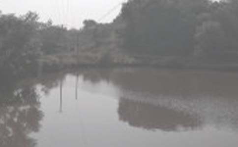 �~���а���ͬ