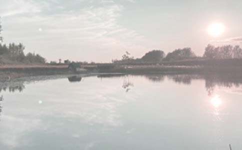 �~(y��)���D(zhu��n)׌�f(xi��)�h��(sh��)(4ƪ)