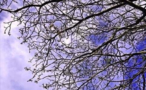 ���ε����õ��簲ף���Z�Z䛼���45��