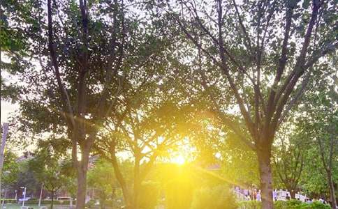 �����]��2023�����õ��簲΢��ף���Z36�l