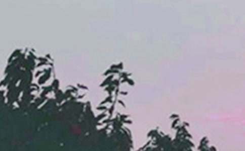 ���]����Ȧ�簲ף���Z35��