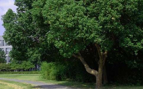 ���x���õ��簲ף���Z�\��54��