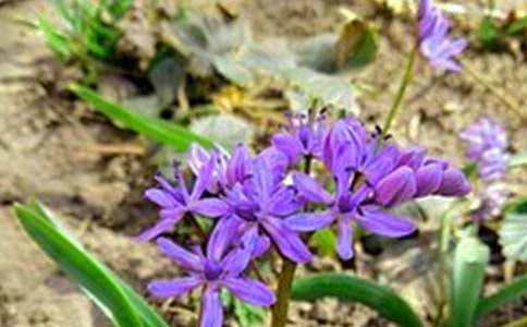 ��(sh��)�õ����õ��簲QQף���Z(y��)39�l