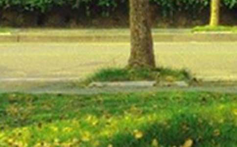 �����]�����õ��簲����Ȧף���Z�\��64��