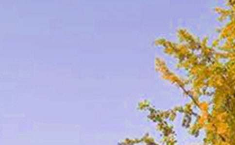 ��(ji��n)�̵����õ��簲ף���Z(y��)�Z(y��)䛅R��36��