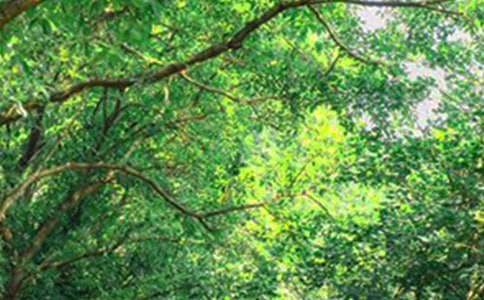 2023�꺆�̵����õ��簲΢��ף���Z����32��