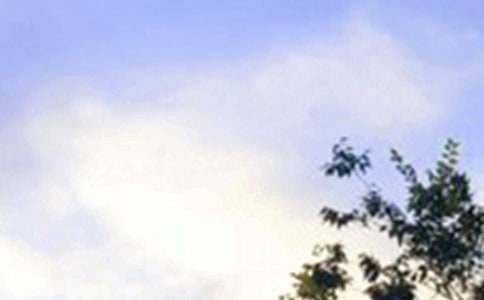 2023�꽛(j��ng)�����õ��簲����Ȧף���Z��R��50��