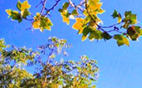 ���õ��簲ף���Z�Z�29��