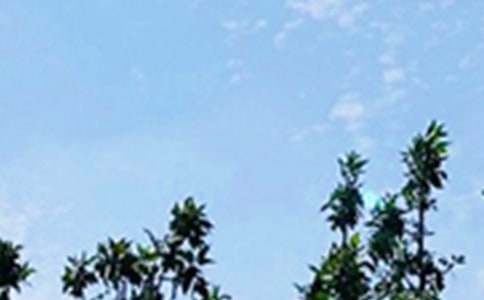 ��(j��ng)��Ψ���簲���Z(y��)140��