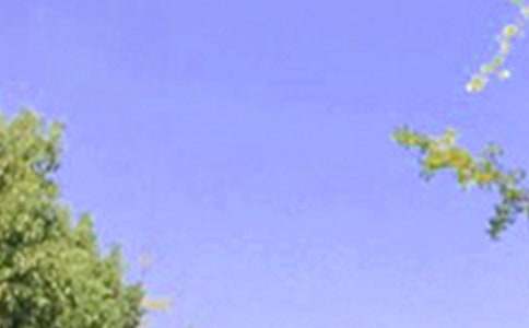 2023�����P(gu��n)���õ��簲����Ȧף���Z42�l