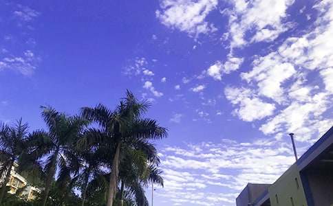 2021�꺆(ji��n)�̵����õ��簲����Ȧף���Z(y��)29��