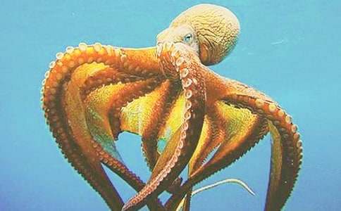 �����~�� �̰�