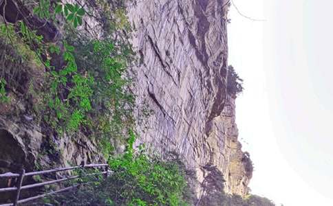 ���Ϗ��ҽ�����ɽ��(d��o)���~5ƪ