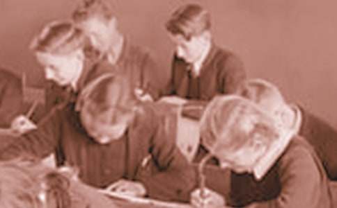 �ЌW(xu��)����ȫ���C��(����15ƪ)