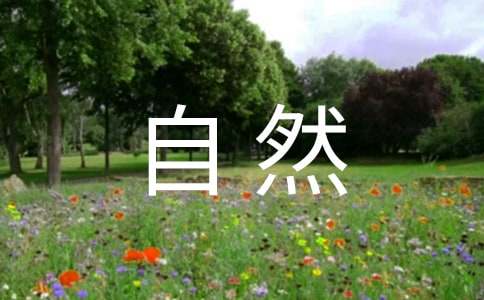 �挦��Ȼ����