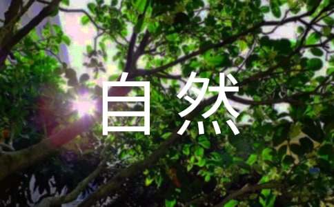 �����á�����Ȼ����300��8ƪ