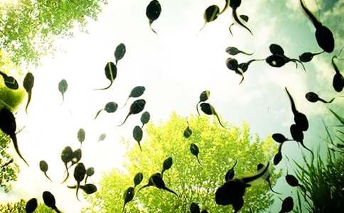 ���P(gu��n)С����ҋ����̰����\ʮƪ