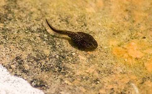 С�����С����ҋ����̰������x6ƪ��