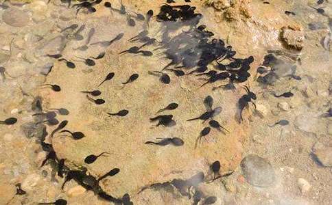 �����x��С����ҋ����̰���ƪ