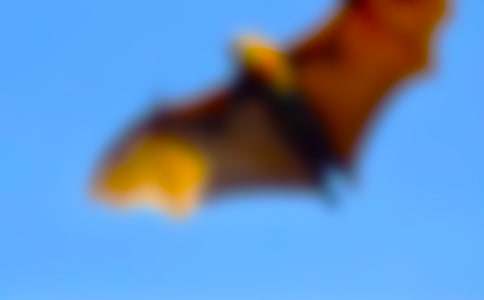 ����������_(d��)���̰�15ƪ