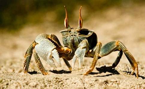 ����Z�Խ̰���С�з�ҹ�����