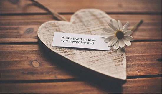 ������ף���Z��R�������x100�䣩