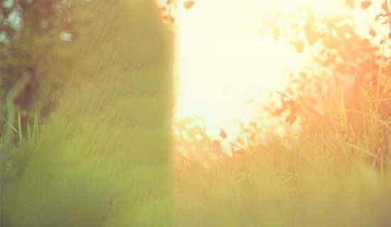 �n��Ψ���f�f���Z��ȫ�����x90�䣩