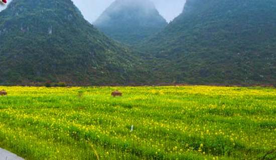 �������β߄���